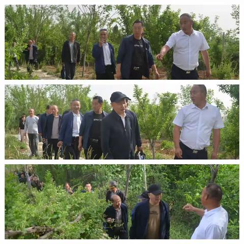 洛南县农民书画院写生创作基地采风授牌仪式在景村镇御史村御史现代农业园区举行