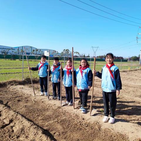 劳动砺心志，实践促成长——中街小学四(4）班劳动实践活动