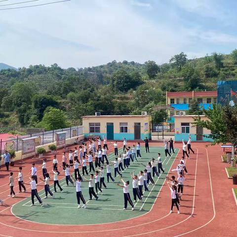 聚焦多元评价，绽放成长之花 ——刘家庄小学王晨