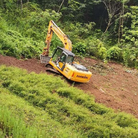 “唤醒撂荒地·播种新希望”——庙沟村撂荒地复垦记实