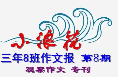 小浪花 三年8班作文报 （第8期）