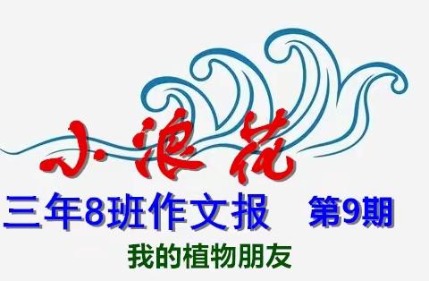 小浪花 ——三年8班作文报（第9期） 我的植物朋友