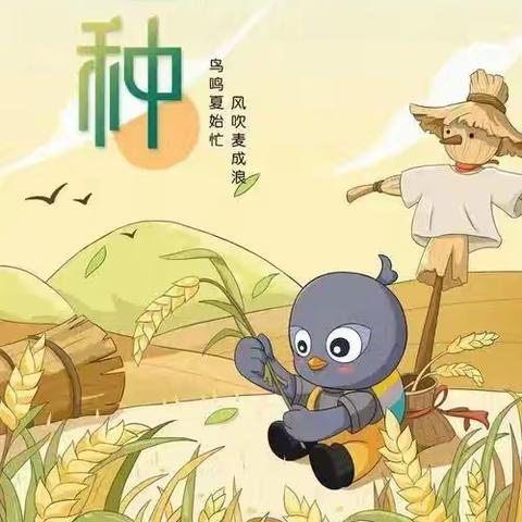 仲夏芒种至  忙中乐融融                           启蒙幼儿园大班组芒种节气主题活动