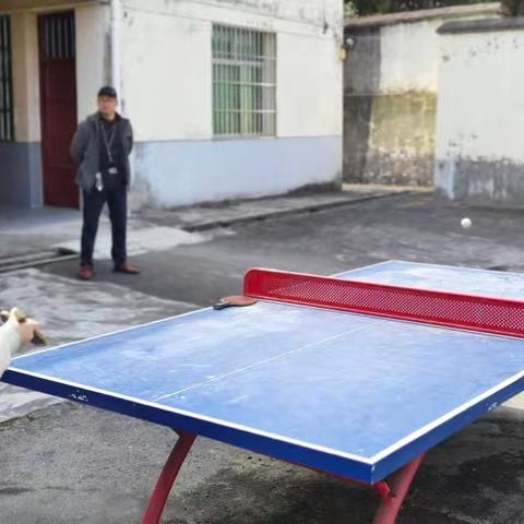 快乐运动 健康生活 ——关庙镇双胜小学2025年庆祝“三八”国际劳动妇女节主题活动