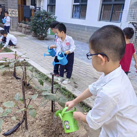 2023年秋季学期植物园纪录片