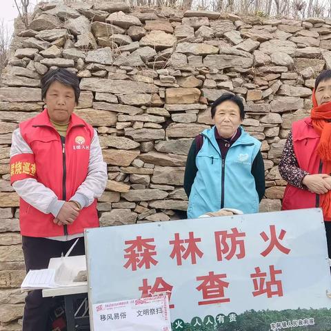 【东阿镇杨山村】清明节文明祭祀活动