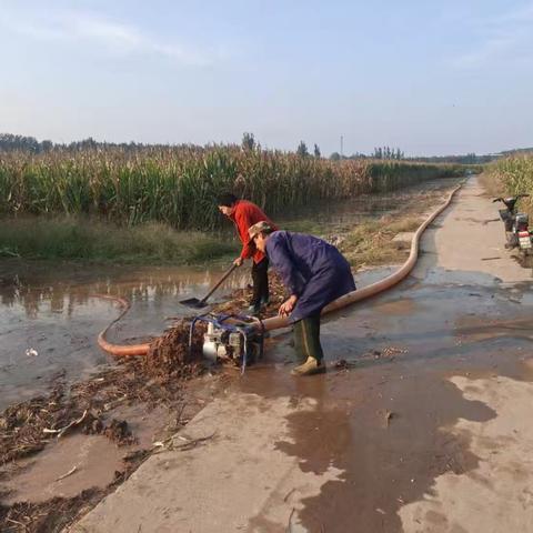 东阿镇杨山村两委：排涝解忧助秋收