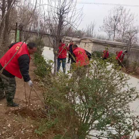 东阿镇杨山村开展“扮靓乡村环境，守护美好家园”志愿服务活动