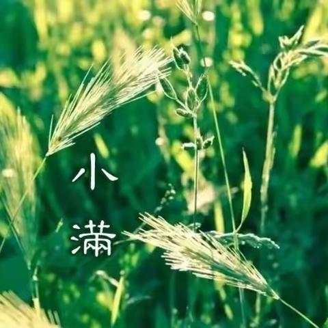 静待花开