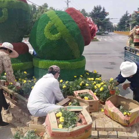 【扮靓城市 提升颜值】鲜花扮靓城市道路