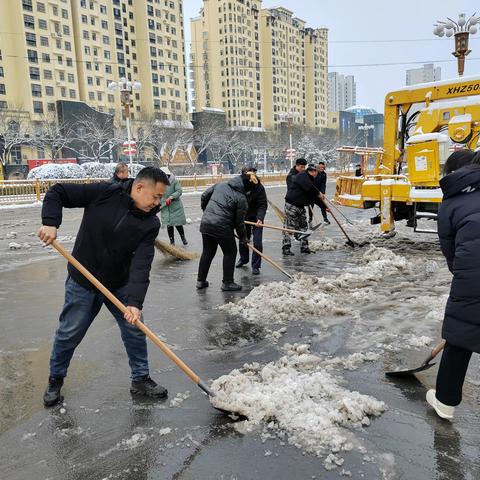 园林所积极开展清理积雪工作