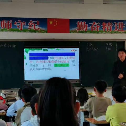 教之语，研之文 ——张桥小学语文教研活动