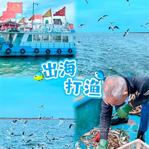 1日｜出海打渔｜渤海湾包船出海の体验一次渔民生活-现场加工品新鲜海鲜