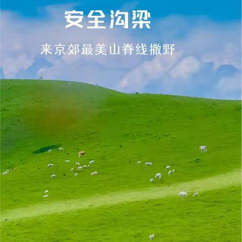 1日｜徒个•安全沟梁｜夏天15°C徒步体线の草甸路线-安全沟梁10公里徒步<初级>