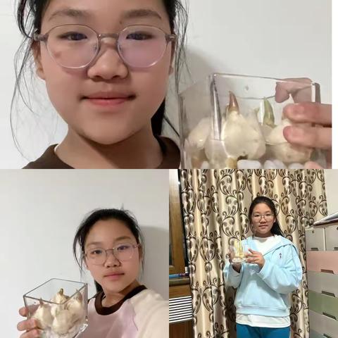 种植绿植，感受生命的奇迹——实小五(1)班种植绿植活动