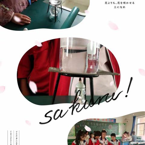 【邱县贺堡民族小学  关爱学生幸福成长】本课开展将水加热至沸腾的探究过程。