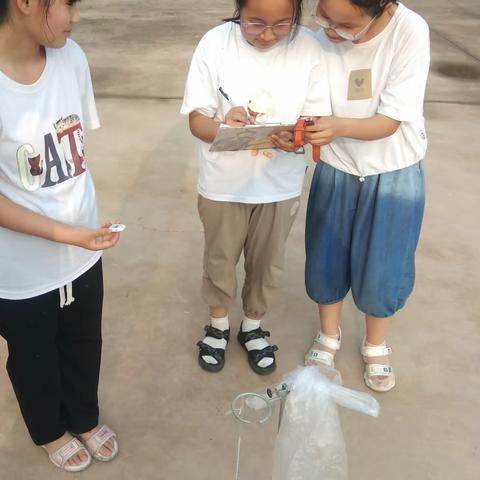 【邱县贺堡民族小学  关爱学生幸福成长】-五年级科学下册我们面临的环境问题