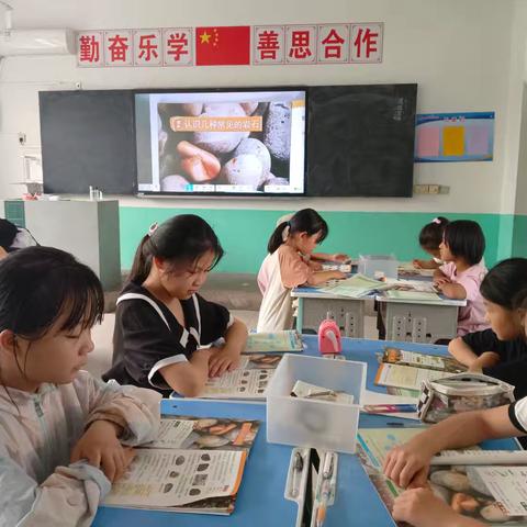 认识几种常见的岩石——四年级科学岩石与土壤