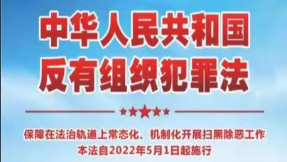 《中华人民共和国反有组织犯罪法》