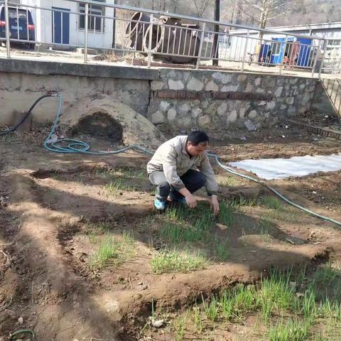 泵站的绿色之美