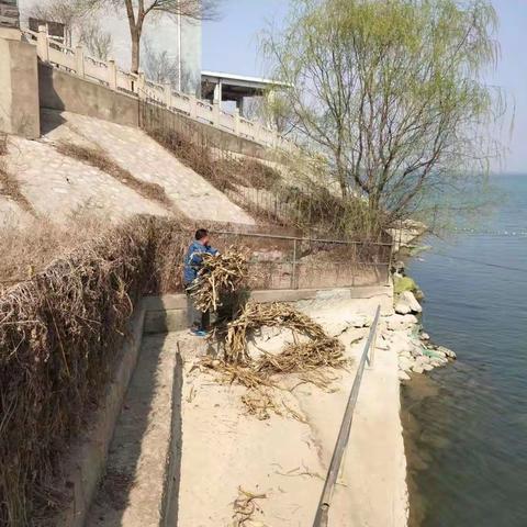 泵站进水口和蓄水池捞草工作