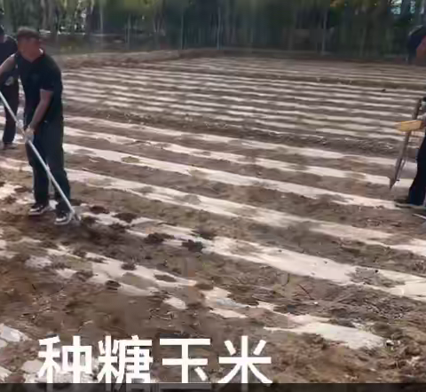 庆源家政奋中物业办5-6月绿化、维修简报