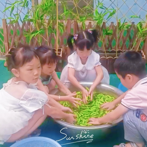 东方红碧溪分园周食谱回顾