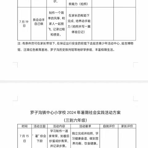 花开有期，“暑”你最美 ——罗子沟镇中心小学校暑假实践周活动