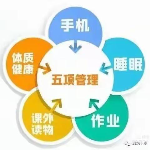 齐抓“五项管理”，共谱美好新篇！——乾县薛录中心小学