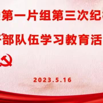 纪委第一片组第三次纪检监察干部队伍学习教育集中夜学活动