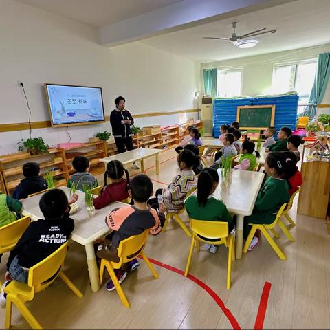 青苗幼儿园中国传统二十四节气之——冬至朝霞班