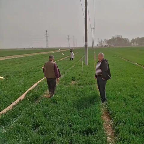 农业农村局驻东胡堡工作队3月                     下旬工作汇总