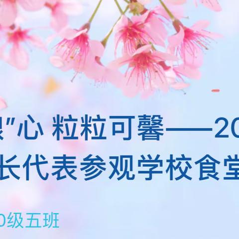 天地“粮”心   粒粒可馨——2020级五班家长代表参观学校食堂有感