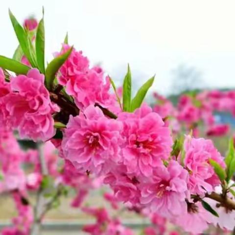 高一政治备课组活动记录