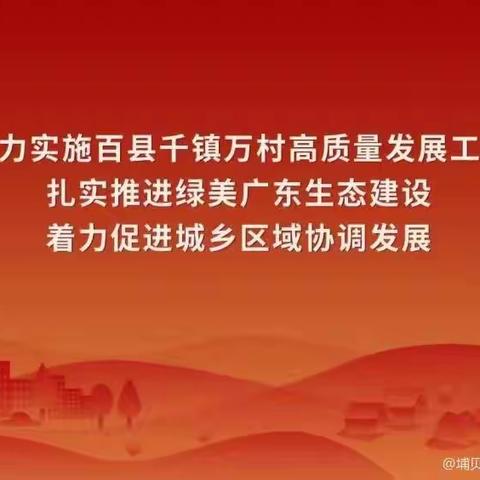 严阵以待，筑牢防线！石坝镇埔贝村全力以赴做好台风“苏拉”防御工作