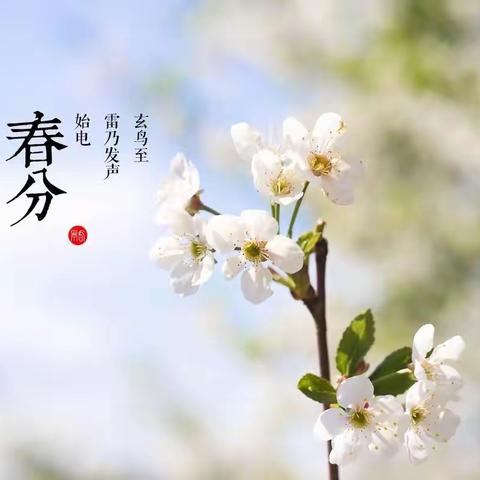 春分时节，兴趣盎然——明德幼儿园春分节气主题活动