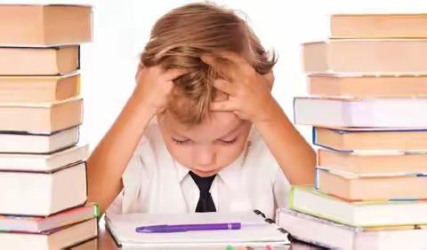 “知慧”学习能力成长训练营（第3期）寒假班招募