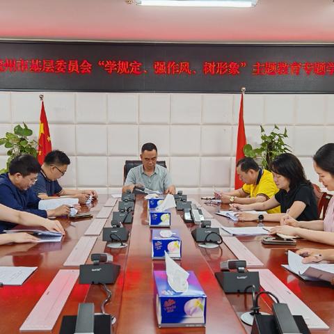 致公党儋州市基层委员会召开“学规定、强作风、树形象”主题教育专题学习会
