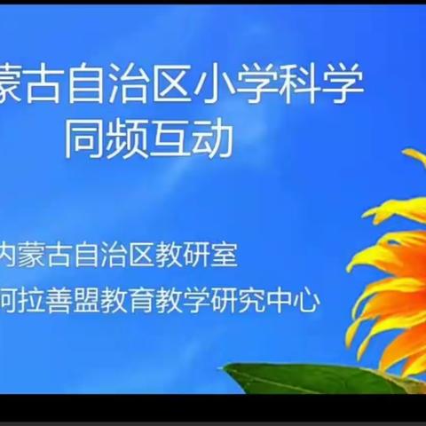 相聚云端  共享教研 ——集宁区小学科学教师观看自治区第四期科学同频互动纪实