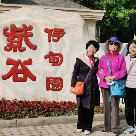 一缕阳光的文章