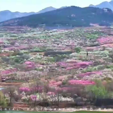 梨花带雨千山雪 稚子童声颂祖国