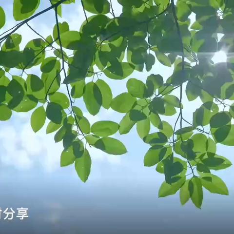 “季”忆留夏，拾光有你❤️——豫灵镇春蕾幼儿园大二班期末汇报