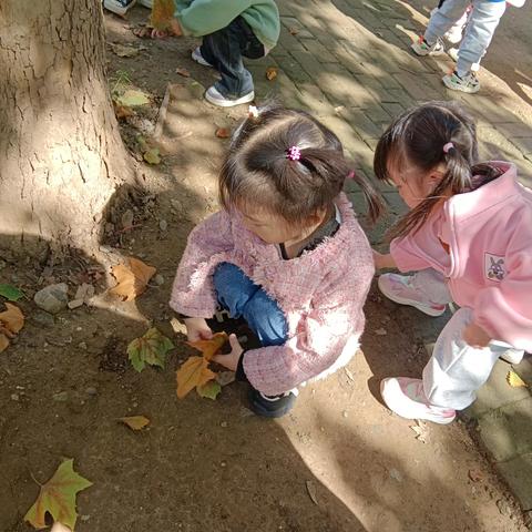 创意树叶画，探寻秋之美——种子班树叶画