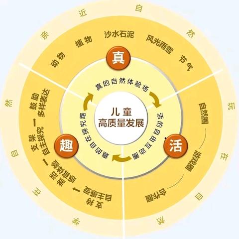 “亲”自然课程—我的植物朋友【韩城镇第二幼儿园】主题探究活动（中班组）