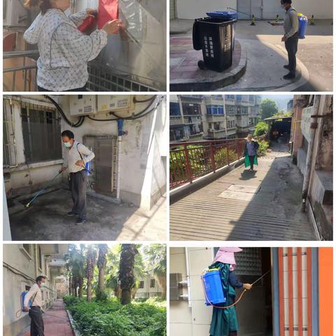 区城发物业众祥公司之 —— 四害消杀篇