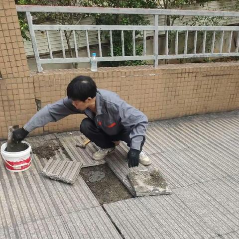 佳烨物业水榭新学府小区开展“爱国卫生月”活动工作小结