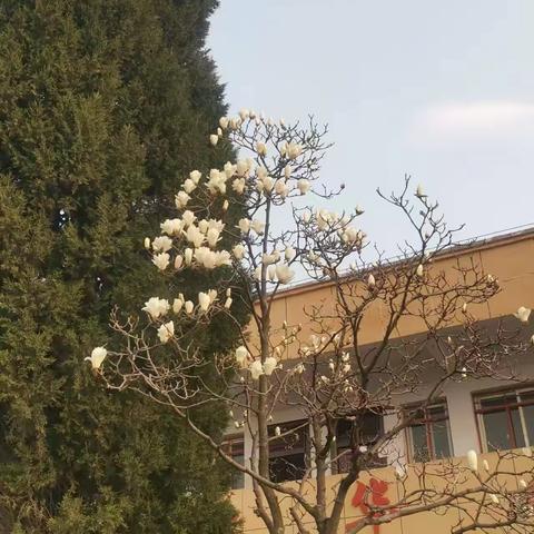 展望新学期，一起向未来 —— 下碑寺罗庄小学校