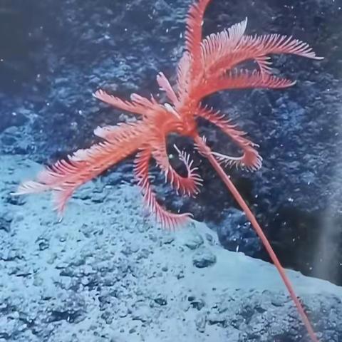 遵道而行：的简篇