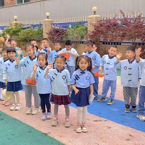 采一盏清茶•揽一缕春光—国子幼儿园采茶记