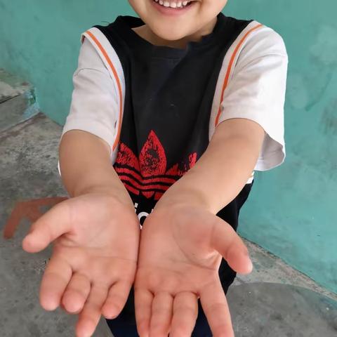 关爱学生幸福成长｜💞我会洗手💞｜临漳县柳园镇中心校邓庄幼儿园